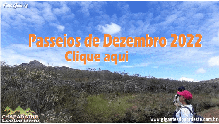 dezembro 2022